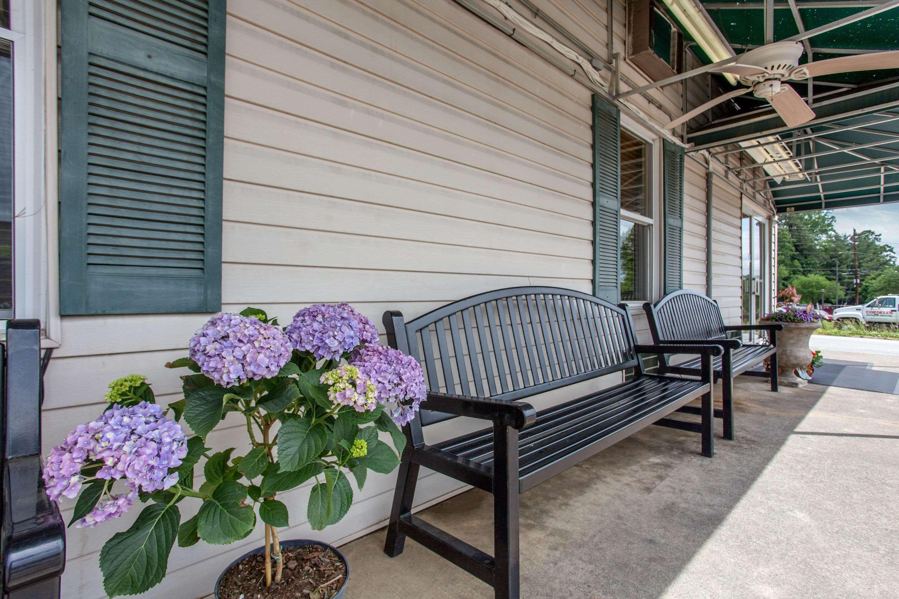 Rodeway Inn Άσβιλ Εξωτερικό φωτογραφία